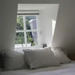 Boutique Nieuw Uilenburg Hotel 's-Hertogenbosch (Den Bosch)