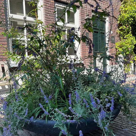 Boutique Nieuw Uilenburg